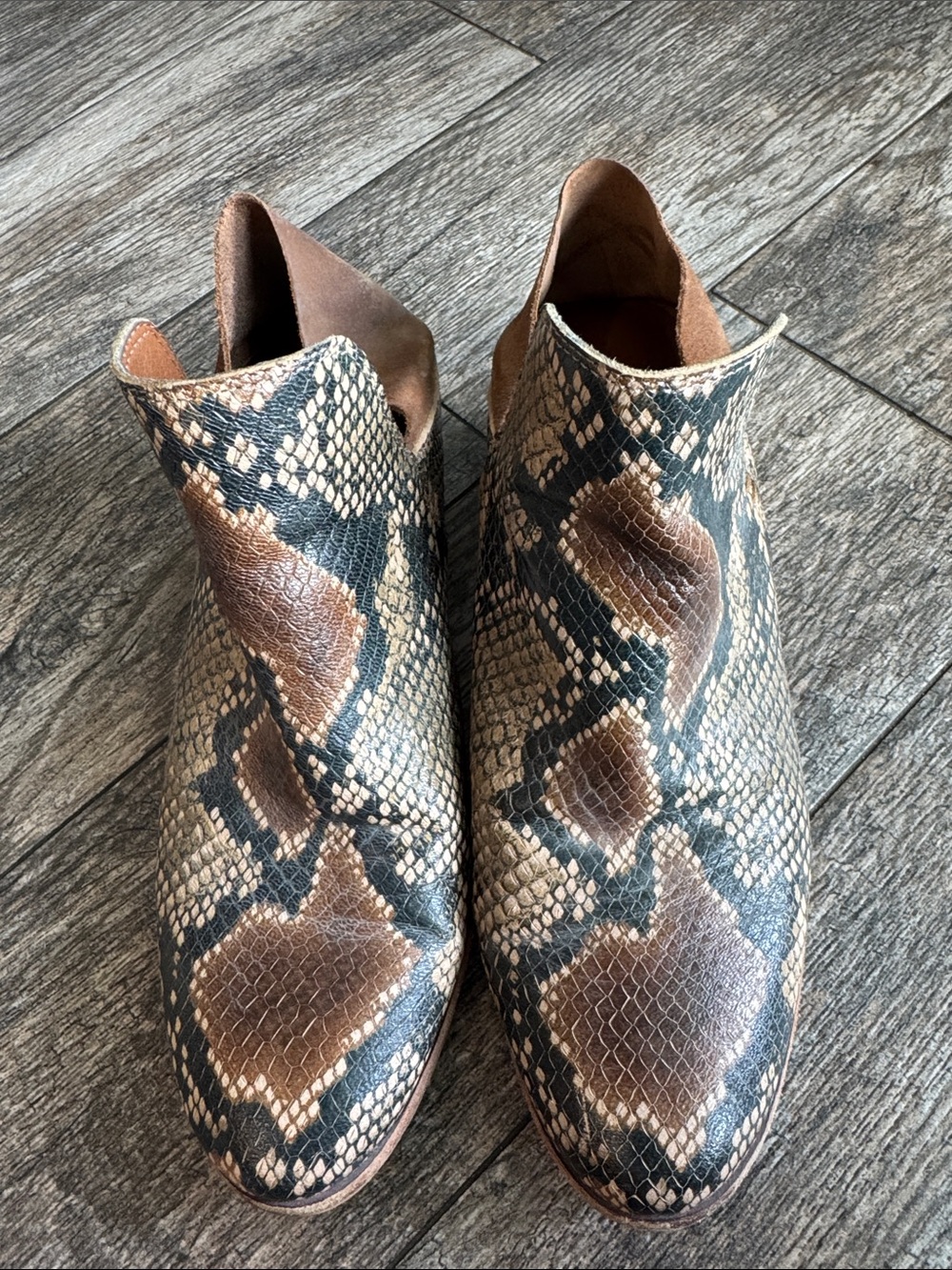 Sam Edelman Brown & Black Snake-Print Ankle Booties